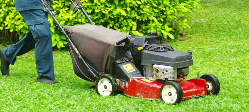 mower