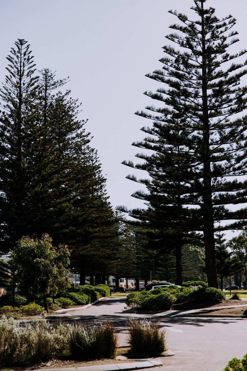 Desktop Banner