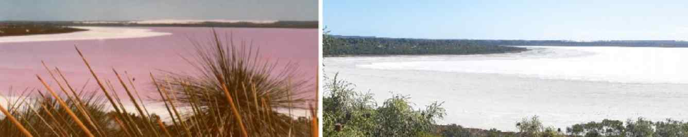 Pink Lake Feasibility Study Image