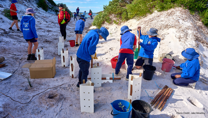 Many children in school uniform push wooden stakes into an eroded sand track through dunes. The stakes are being pushed in next to seedlings, so plant shelters can be installed around the seedlings.