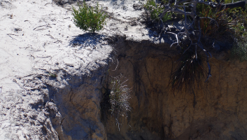 A close up of a deep gully of erosion running through the sand dunes