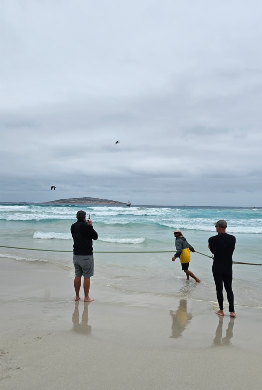 Three men stand on West Beach at the very edge of the waves coming in. One of them speaks into a two-way radio to a fishing boat visible about 400m out to see. Another man is pulling at the rigging attached to the whale carcass out of frame, and the third man in a full wetsuit gazes out to sea