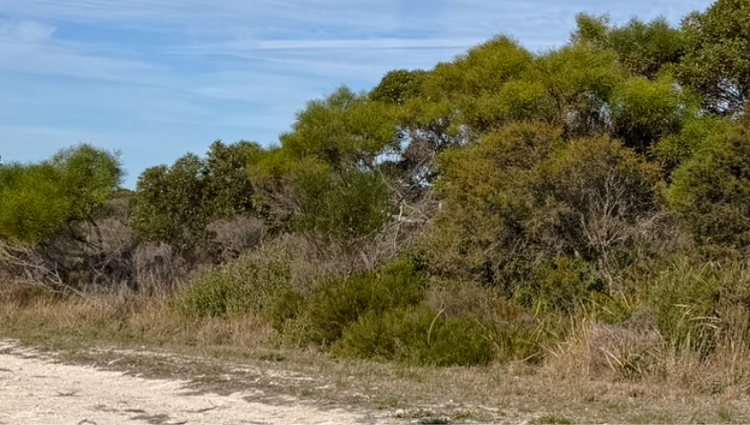 Firebreak Season - Let's Get Ready