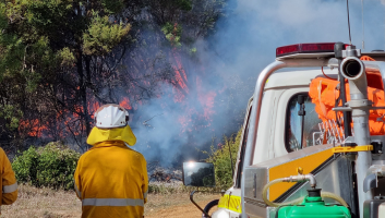 Fire Mitigation Update – Toowacka South