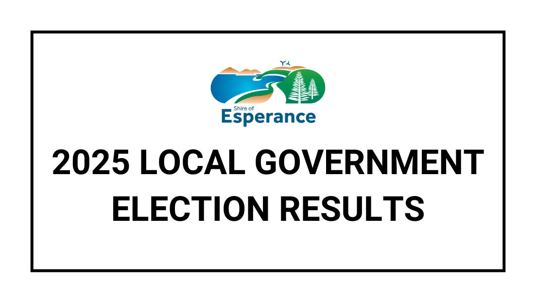 Council Election Results 2025