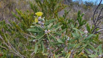 NRM Funding for Community Stewardship