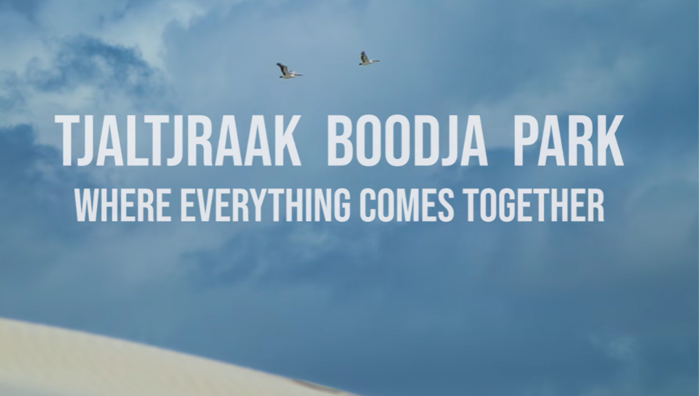 New Video Shines a Light on Tjaltjraak Boodja Park